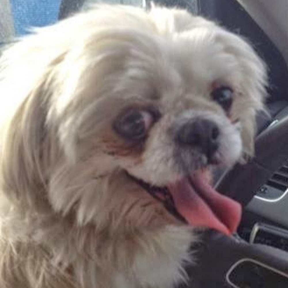 Meet your Posher, Jennefer